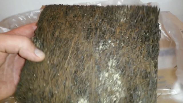 Посылка подарок от Любы с России ? смотреть онлайн