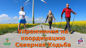 упражнения на координацию северная ходьба