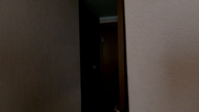 Московская суета: единственный в России монорельс, Сокольники и парк Горького, Park Tower Hotel 4* смотреть онлайн