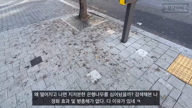[Vlog] 집순이가 휴무 보내는 법 • 나의 해방일지 • 도서관 • 등산 (?) • 요리 • 혼술 смотреть онлайн