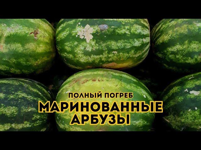 Маринованные арбузы. Полный погреб // Выпуск 4 смотреть онлайн