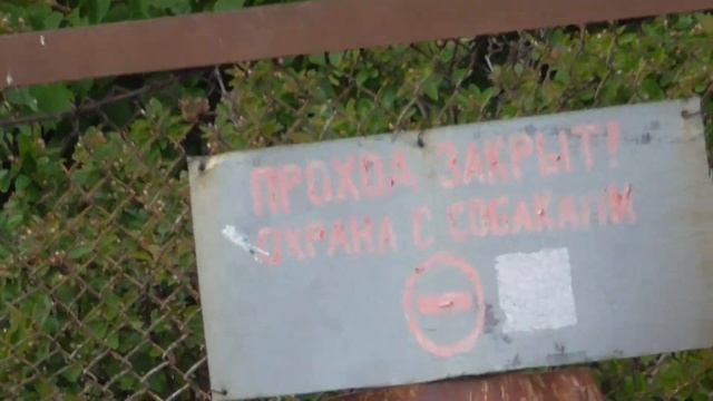 Берег финского залива. остановка Санаторий Балтийский берег. 18 июня 2018 смотреть онлайн