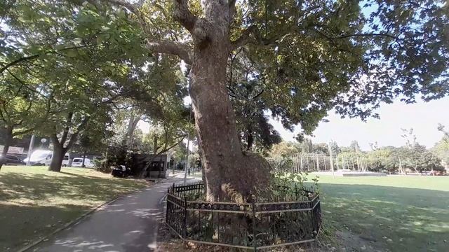 İSTANBUL BEYKOZ-istanbulda Gezilecek Yerler