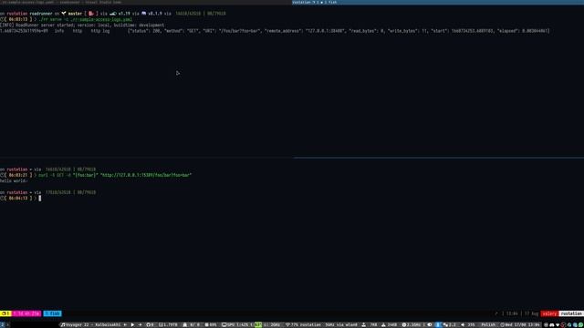 Access Log Configuration | How to Use Access Logs in RoadRunner смотреть онлайн