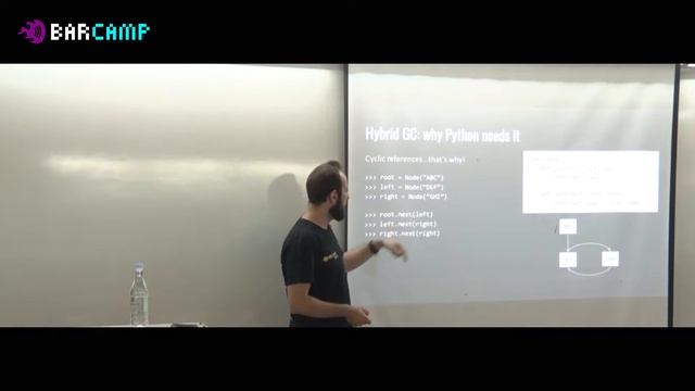 23 113 01 Ruben Manukyan Python memory managment Garbage collector's tough life смотреть онлайн