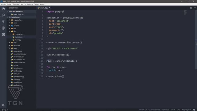 Curso de Python 3 - Bases de datos con Python - Seleccionando registros смотреть онлайн