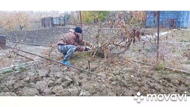 К нам пришли маленькие гости?наводим порядки на дачи#серёжины поделки в детском саду. смотреть онлайн