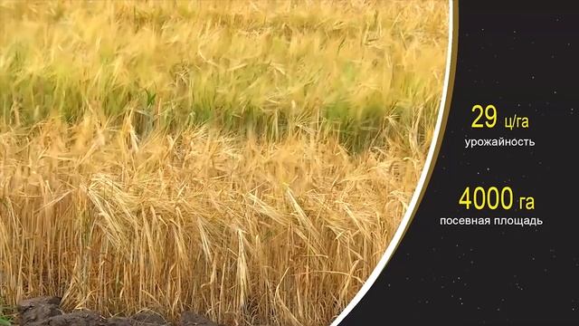 Чем сегодня живет село Прокуткино смотреть онлайн