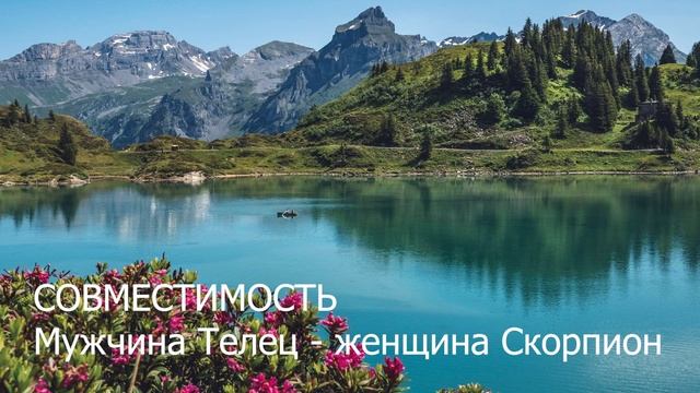 Совместимость мужчины Тельца и женщины Скорпиона. смотреть онлайн