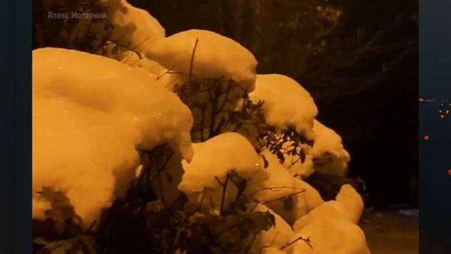 Харьков сегодня.Заснеженные улицы города.Ноябрь,2023 смотреть онлайн