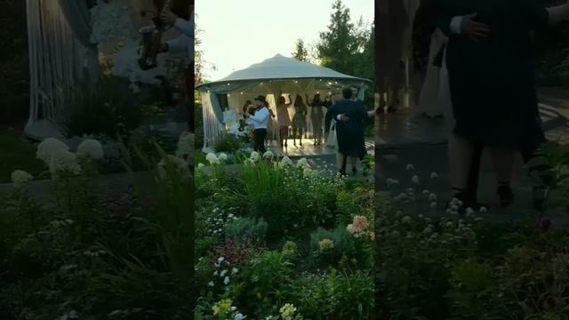 Let's dance. Samodaisax. Виталий Самодай смотреть онлайн