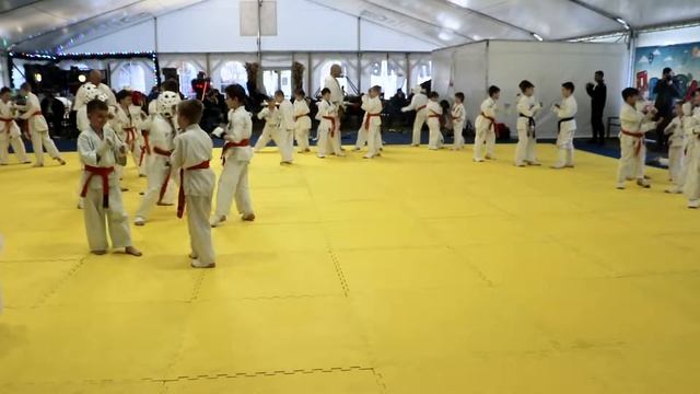 Кёкусин-кан каратэ | Сбор-семинар чемпиона мира Сергея Плеханова | Вечерняя детская тренировка смотреть онлайн