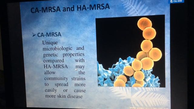 MRSA - Methicillin-resistant Staphylococcus Aureus II Beta -Lactamase II Penicillin  Antibiotics