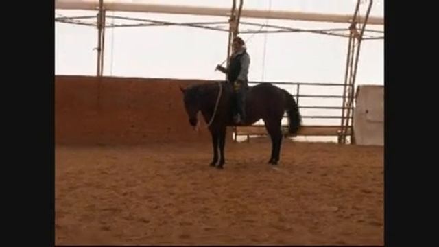 Level 2 Freestyle Kelsey and Java I.wmv смотреть онлайн