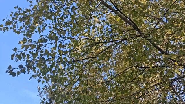 ВЫ ПРОСЫПАЕТЕСЬ НОЧЬЮ... Что это значит.. Чем это опасно... смотреть онлайн