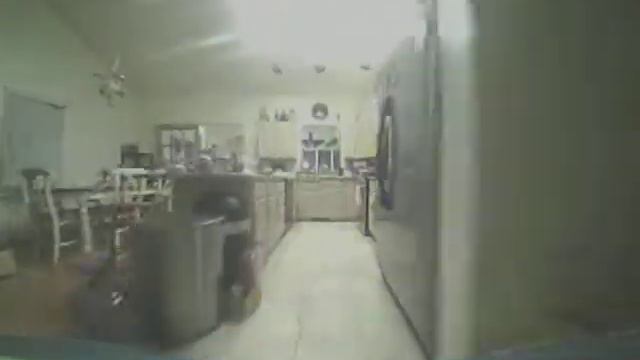 Rare breed water cat sighting смотреть онлайн