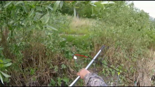 Охота на сазана смотреть онлайн