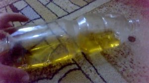 Новый способ, как избавиться от мышей.mp4