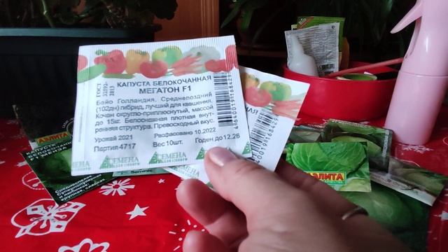 ЛУЧШИЕ СОРТА КАПУСТЫ! Выбираем для посева на Рассаду! Эти сорта всегда Удачны. смотреть онлайн