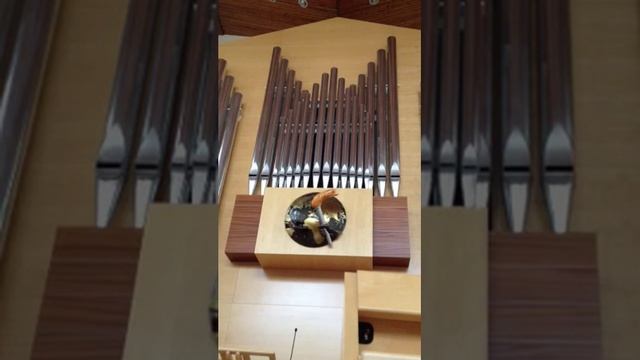 “Hélène polka” J. Lemmens, Hans Trip orgel Apostolisch Genootschap Enschede смотреть онлайн