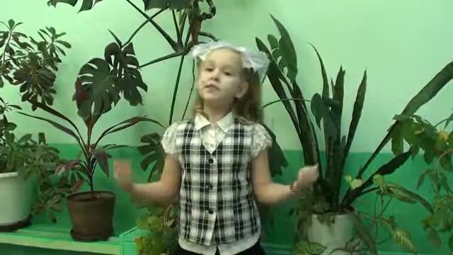 Страна читающая — Екатерина Кочурова читает произведение «Лебедь, Рак и Щука» И. А. Крылова смотреть онлайн