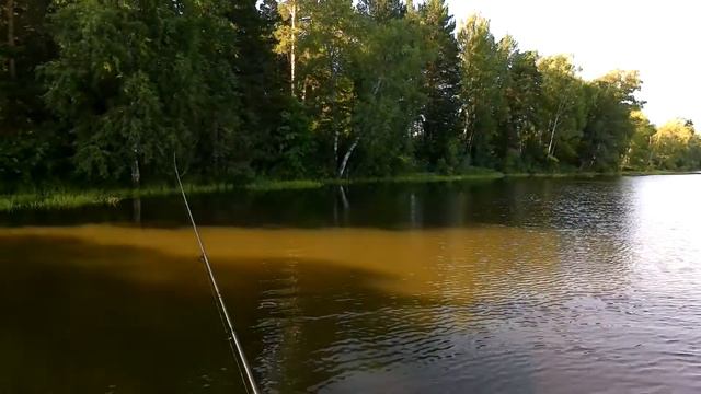 Рыбалка на спиннинг в жару за +30 на озере.Часть 1. смотреть онлайн