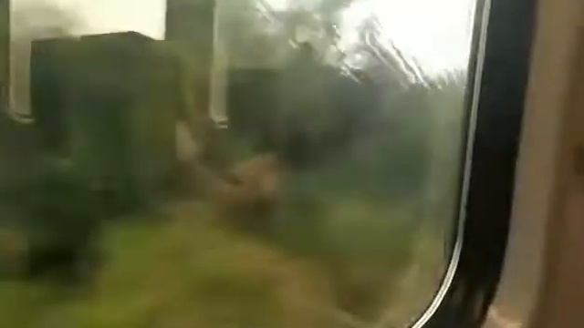 bratislava smer praha smer liberec смотреть онлайн
