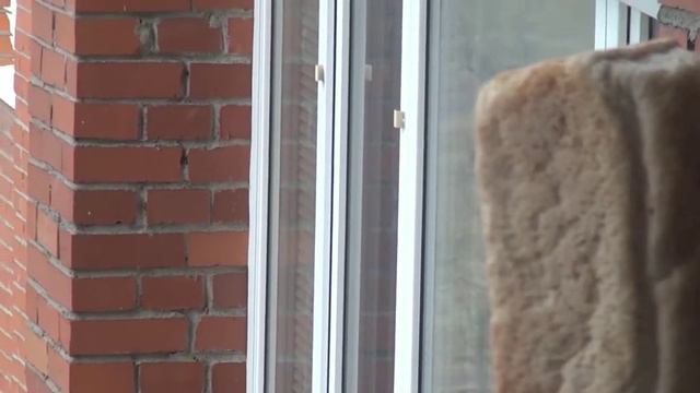 Обзор на хлеб🍞 смотреть онлайн