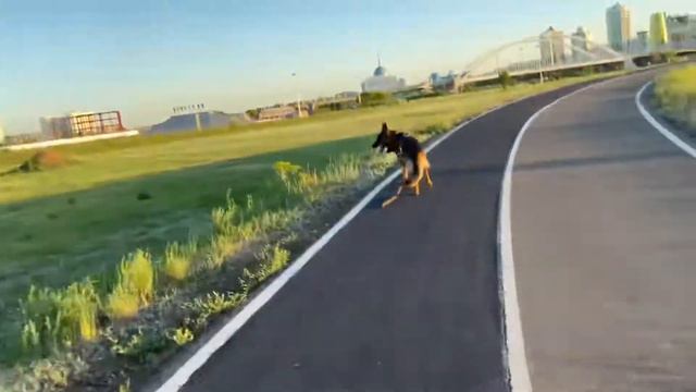 18-день БЕГ с Герман пёс
Nur-Sultan Astana Kazakhstan
Астана Триатлон Парк
Пятница 28 мая 2021г смотреть онлайн