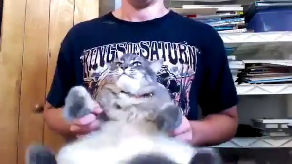 Death Metal Fat Cat Drum Cover