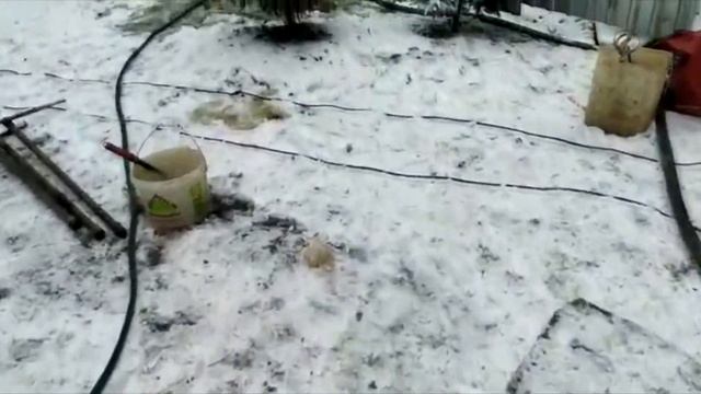 Абиссинская скважина в городе Дедовск смотреть онлайн