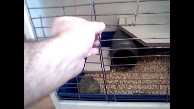 Клетка для шиншиллы своими руками смотреть онлайн