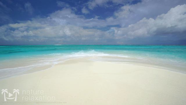 The Perfect Paradise Beach Scene in 4K White Sand, Blue Water & Waves - Two Hour смотреть онлайн