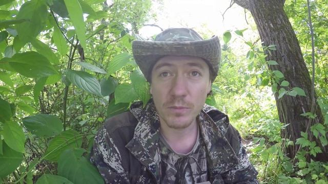 Полевой обзор книги Птицы Москвы и Подмосковья смотреть онлайн