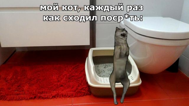 ИХВИЛЬНИХТ сборник мемов ЧАСТЬ 1 #ихвильнихт #тренды #танецволка #2023 #ichwillnicht #trending смотреть онлайн