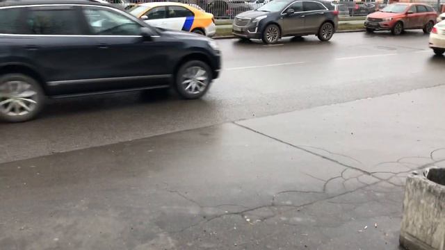 #деньсурка 05.11.2019 смотреть онлайн