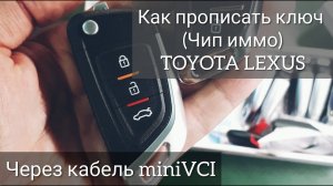 Как прописать ключ Toyota Lexus Через Techstream