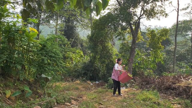 Peach Ginger, Potato Peel, Papaya Flower, Bring To The Market To Sell - Green Forest Life (ep24)