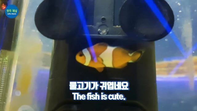 철산역 가볼만한곳 2곳 광명동굴과 IKEA смотреть онлайн