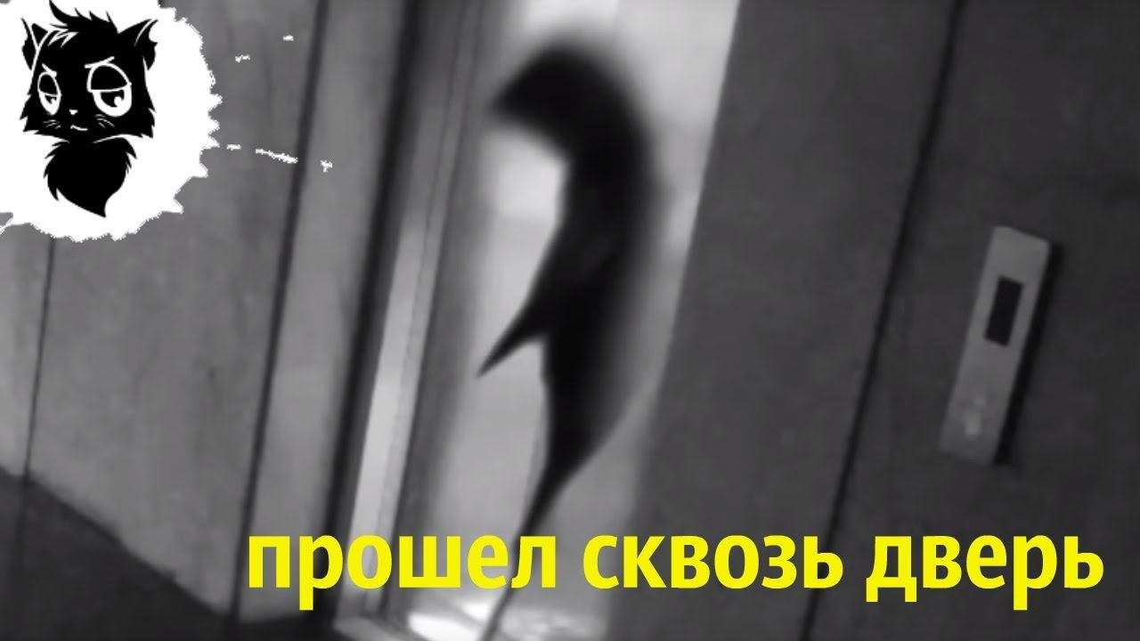 5 МУТАНТОВ С СУПЕРСИЛОЙ СНЯТЫХ НА КАМЕРУ [Черный кот] смотреть онлайн