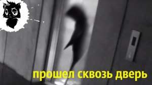 5 МУТАНТОВ С СУПЕРСИЛОЙ СНЯТЫХ НА КАМЕРУ [Черный кот]