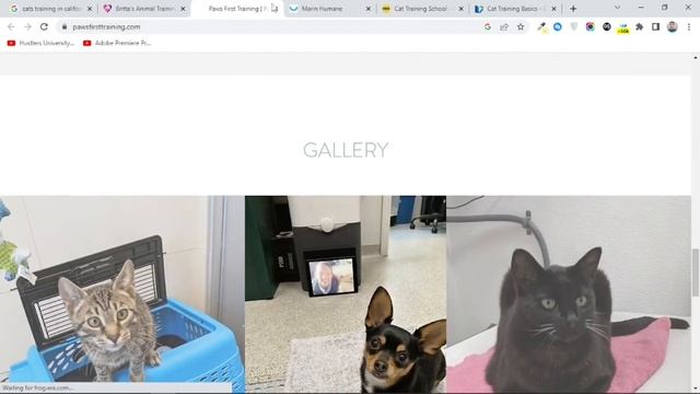 How To Get Clients For WordPress Website Designing & Development | #huzaifaqureshi смотреть онлайн