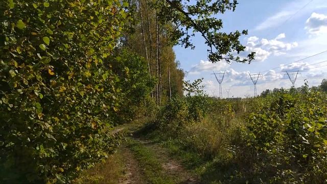Сохранение песка смотреть онлайн