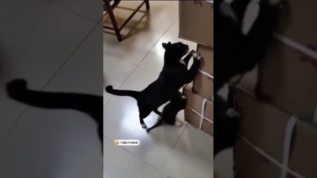 Старший учит младшего? смотреть онлайн