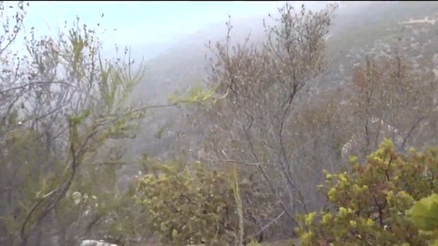 Beyond the Fence: A behind-the-scenes look at the work of Border Patrol смотреть онлайн