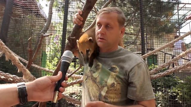 Зубков смотреть онлайн