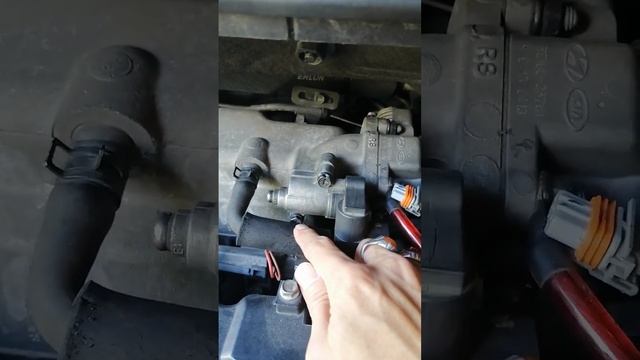 naza citra / hyundai getz cara cuci service idle sensor смотреть онлайн
