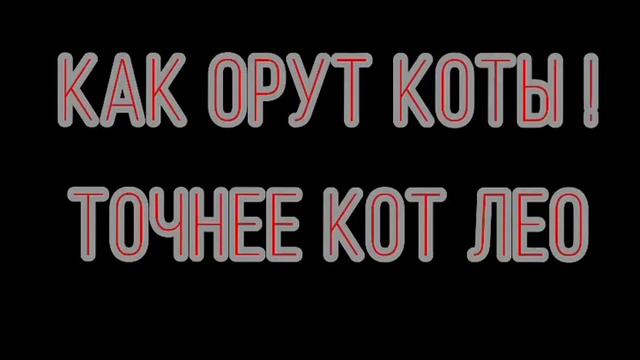 Как надо орать смотреть онлайн