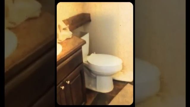 Diamond Park Home Stock Unit- Park Model RV