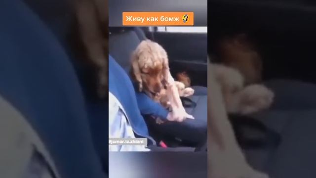 Живу как бомж